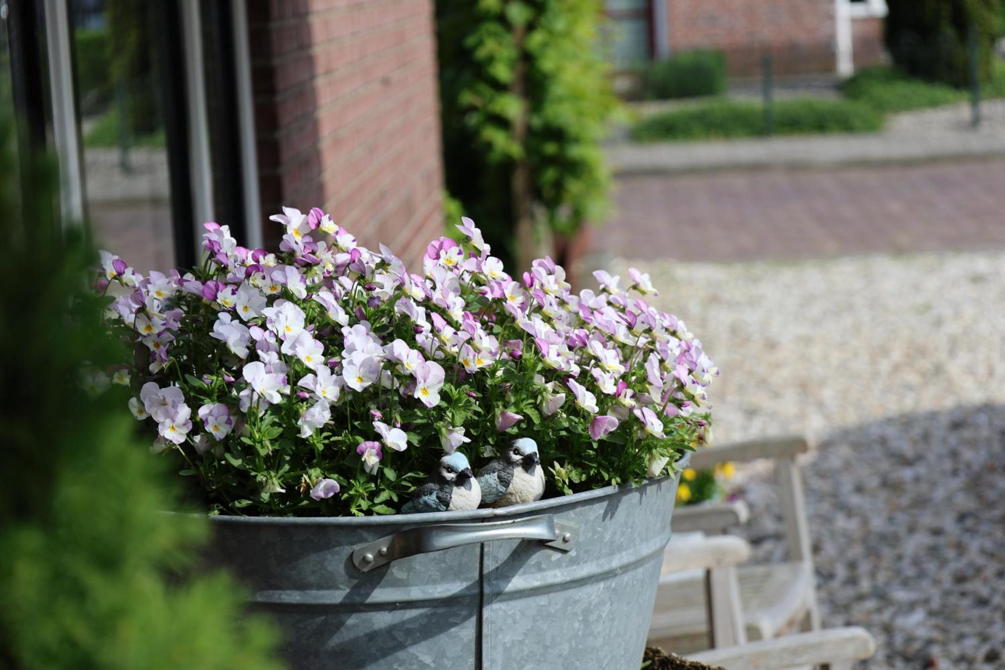 De Seuterhoeve 'S-Gravendeel Bagian luar foto